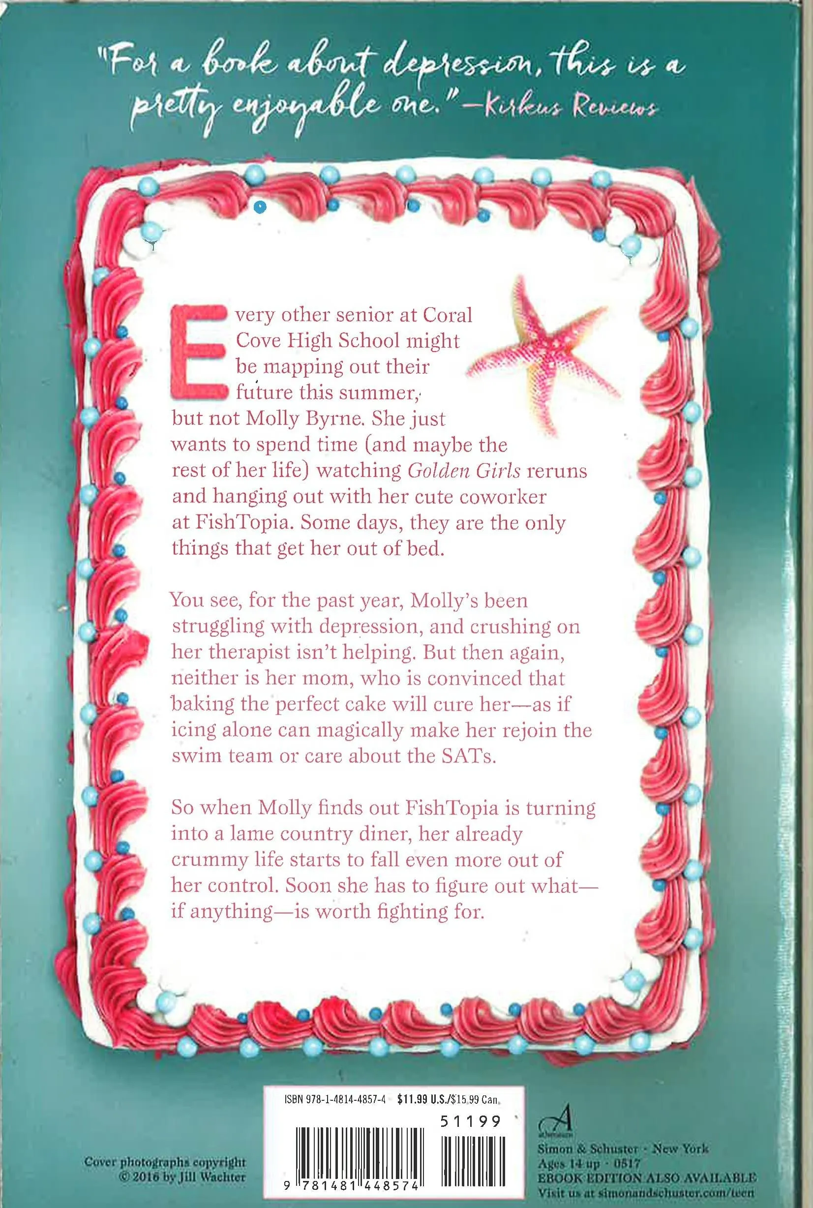 100 Days Of Cake