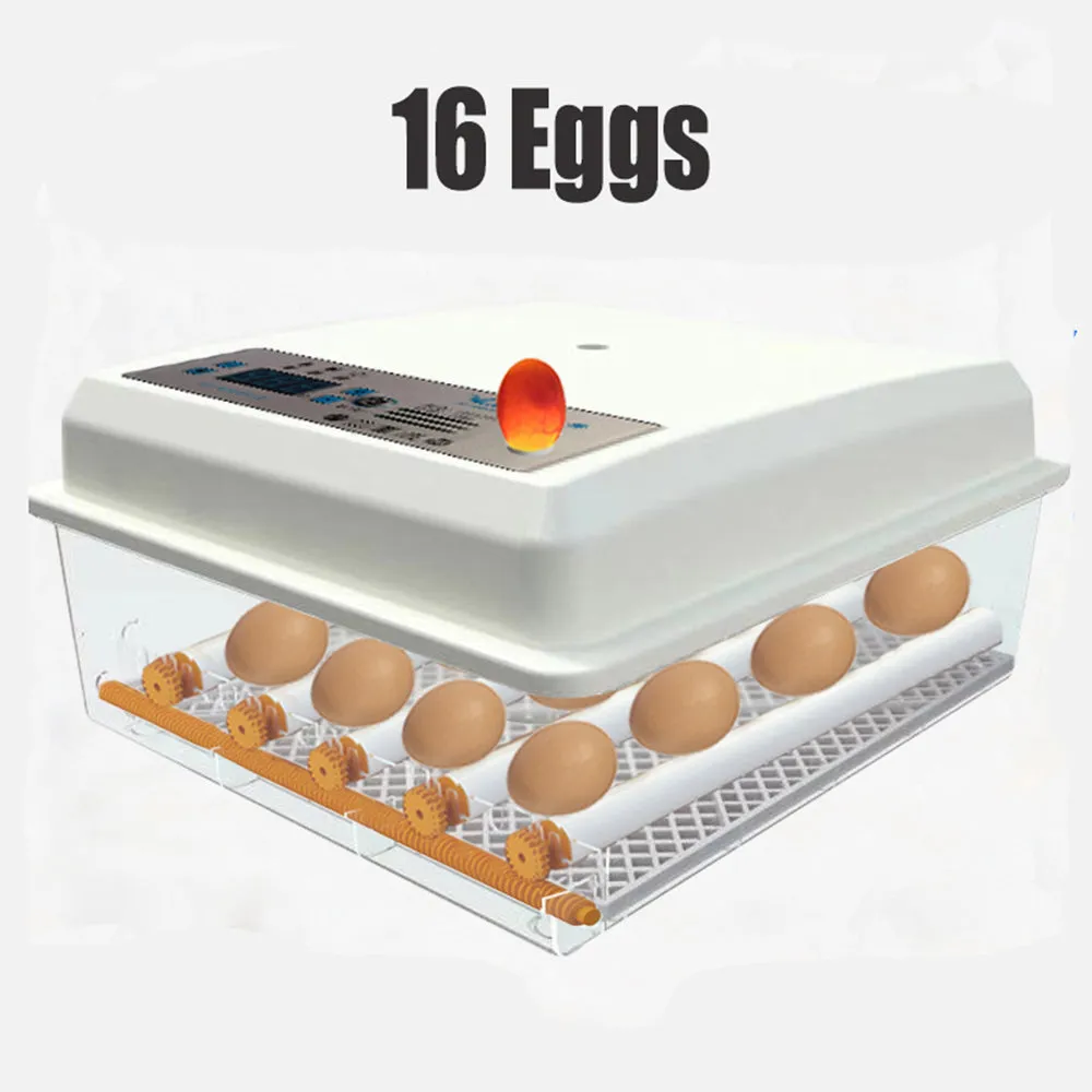16-Egg Incubator | Fully Automatic Digital Thermostat for Chicken Eggs & Poultry