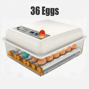 36 Egg Incubator Fully Automatic | Digital Thermostat Chicken Eggs Poultry