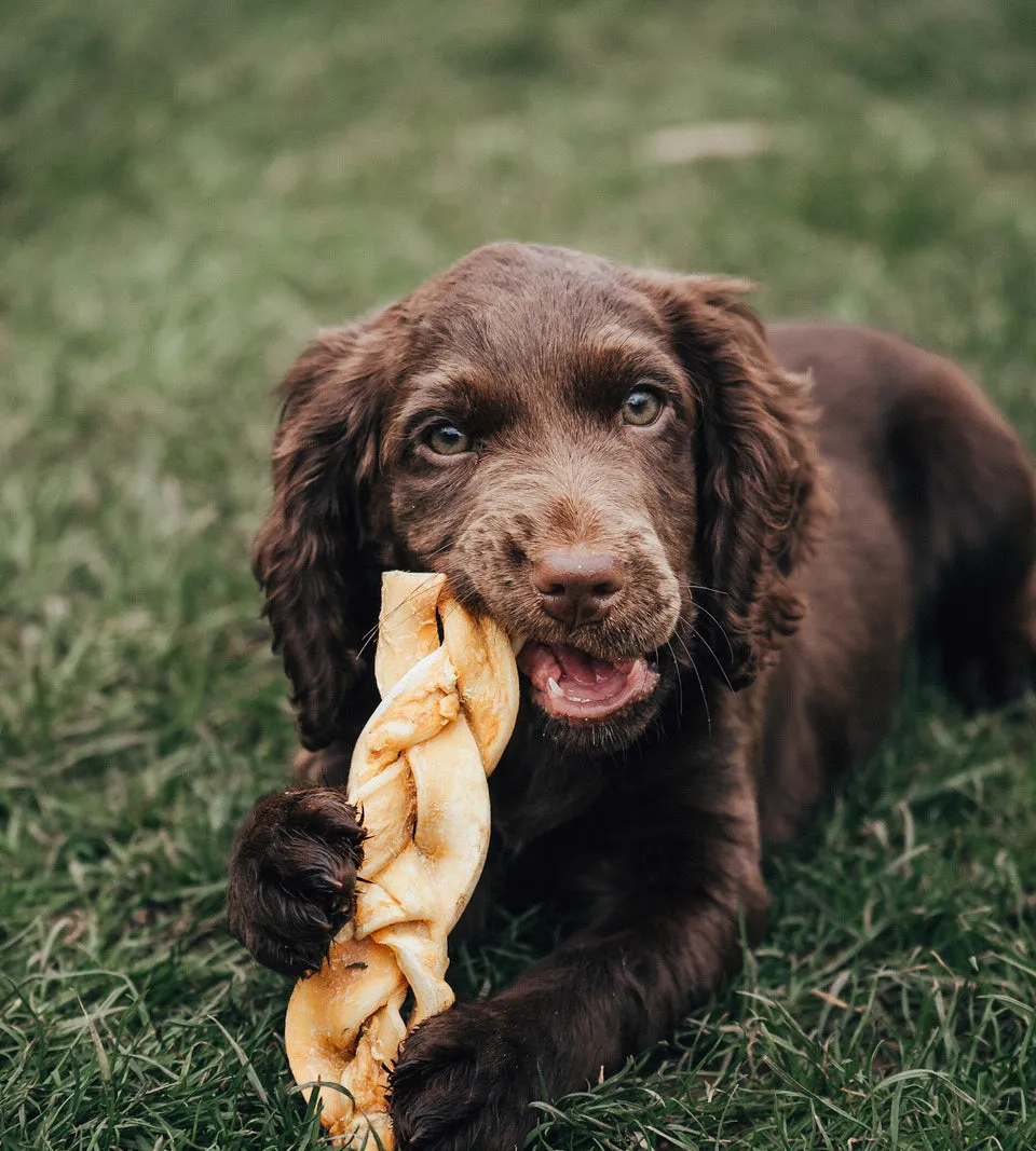 Anco Naturals | Natural Dog Treats | Beef Braids - Single