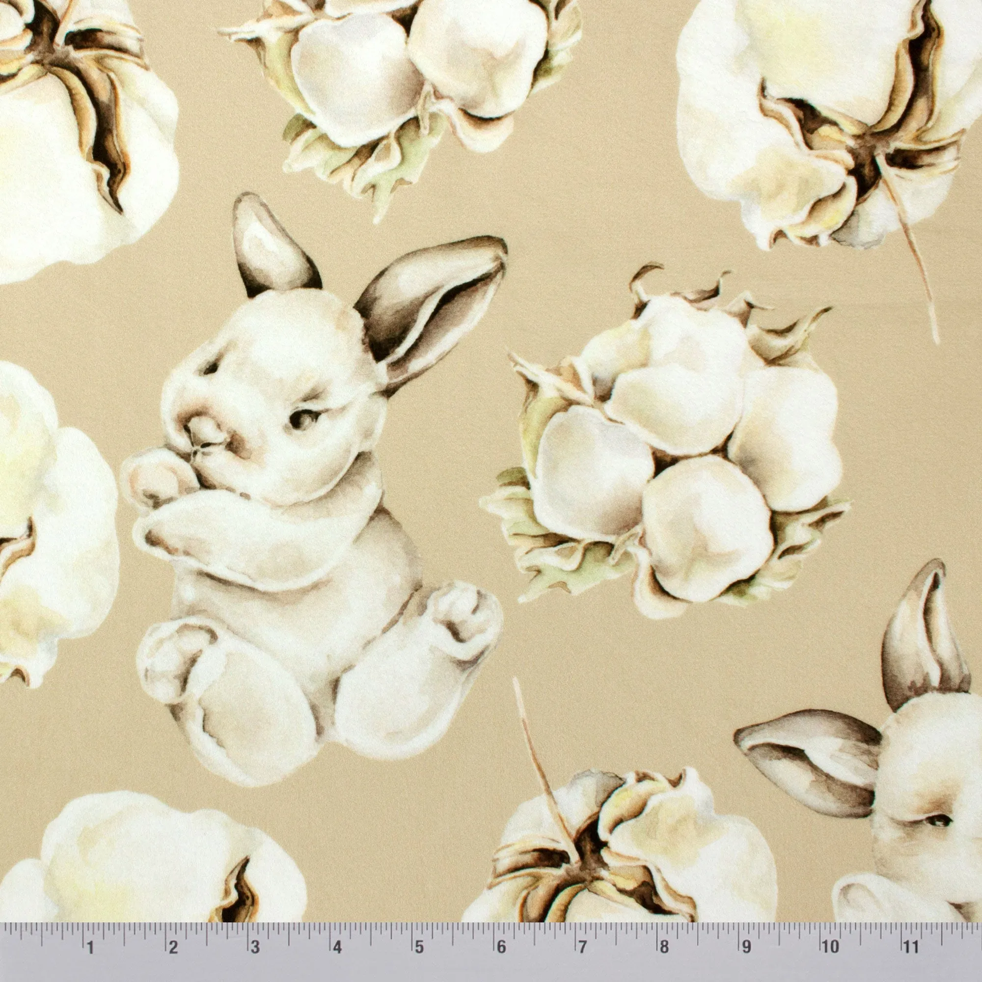 Cottontail