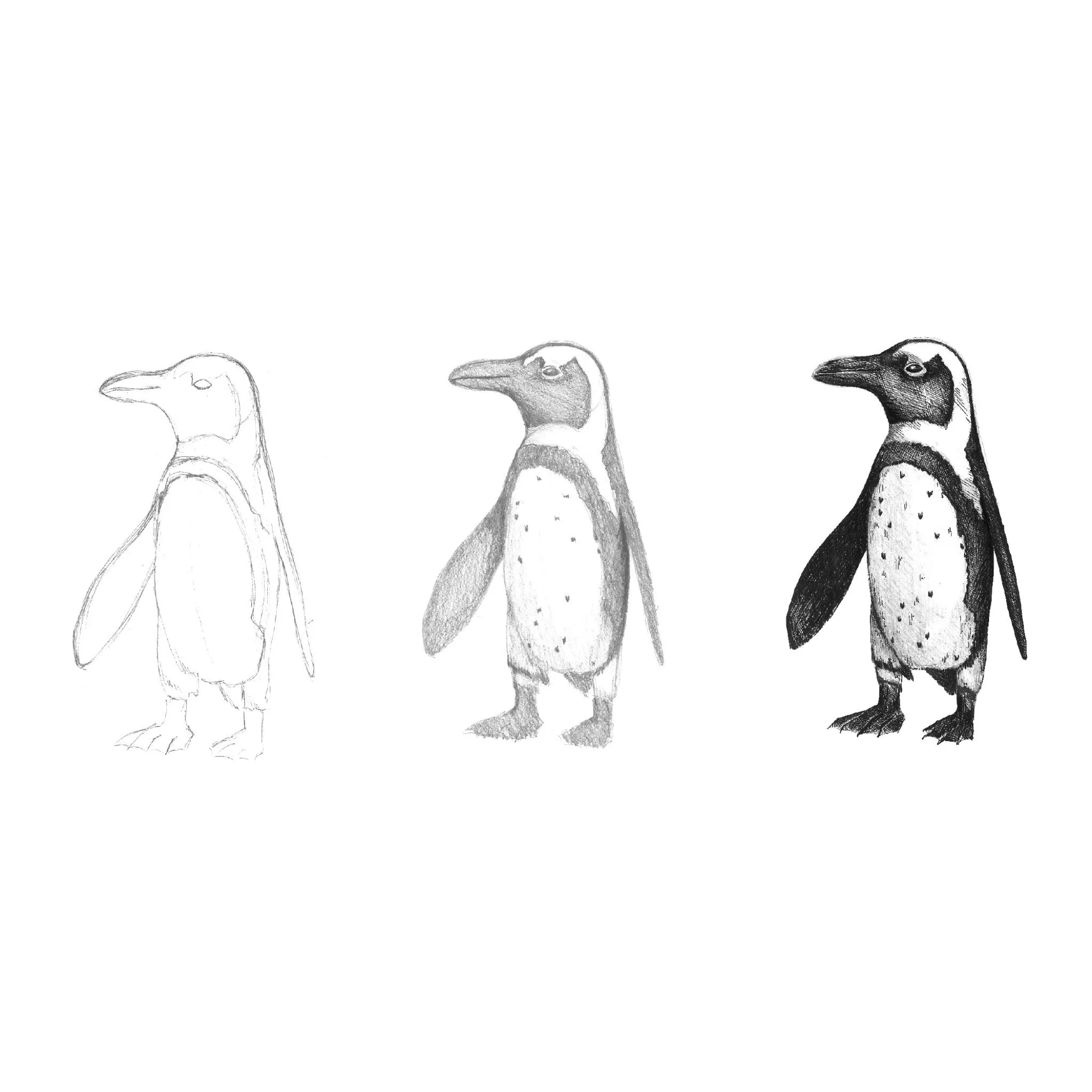 Do Art Drawing & Sketching - #14558