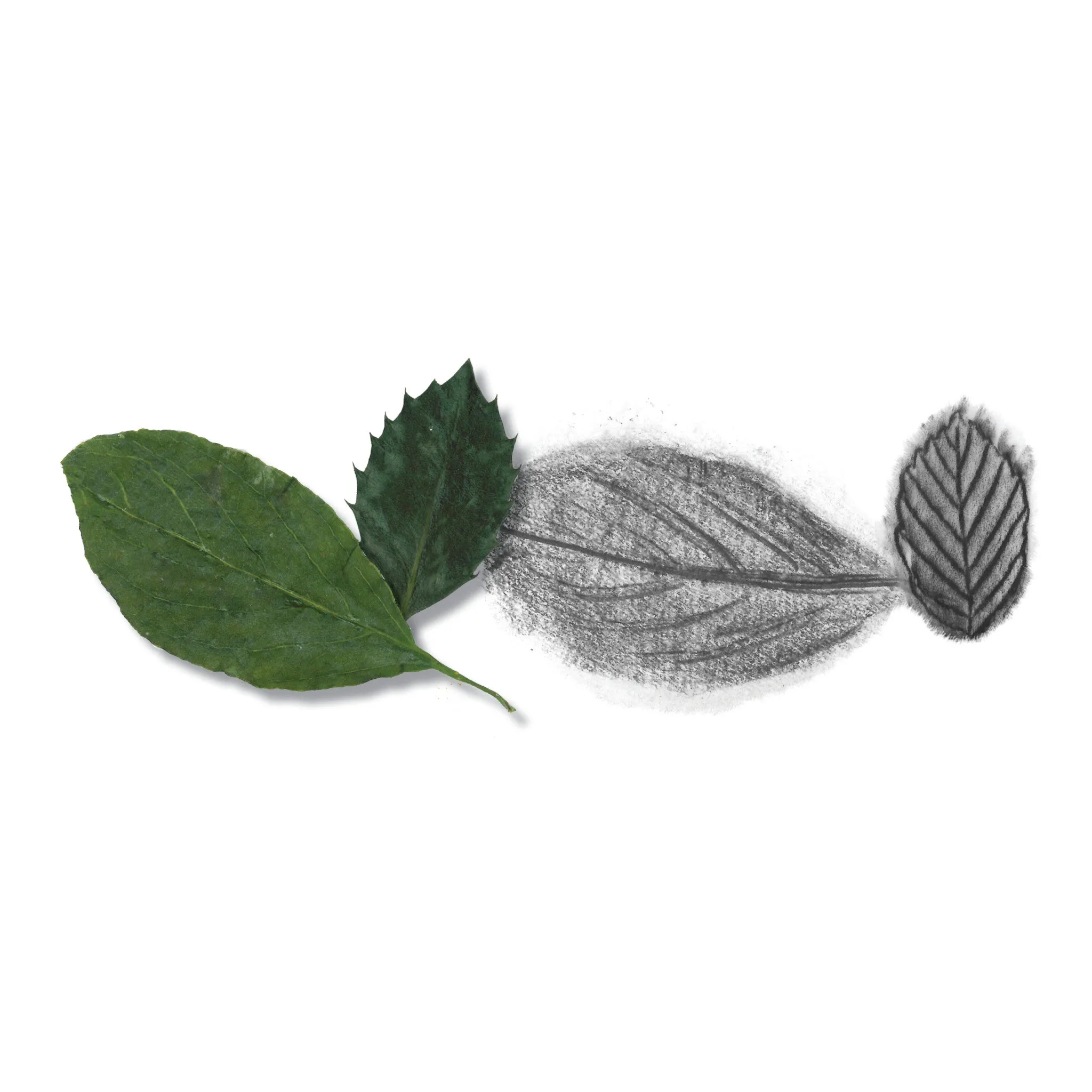 Do Art Drawing & Sketching - #14558
