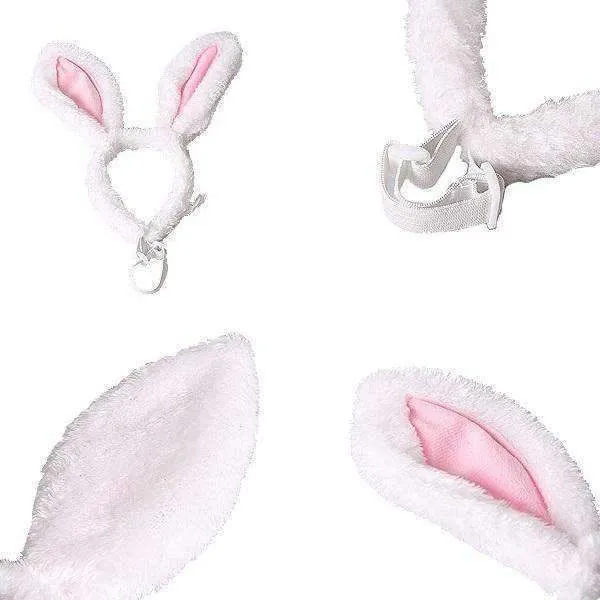 Dog Bunny Ears