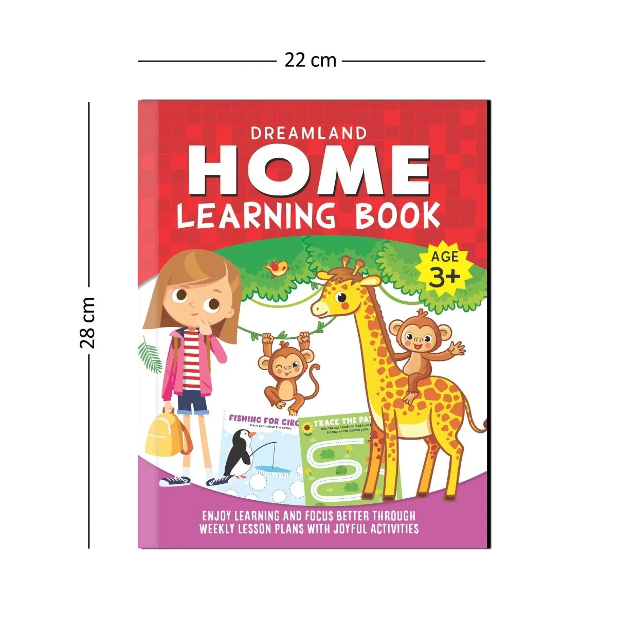 Dreamland Publications Home Learning Book With Joyful Activities - 3 