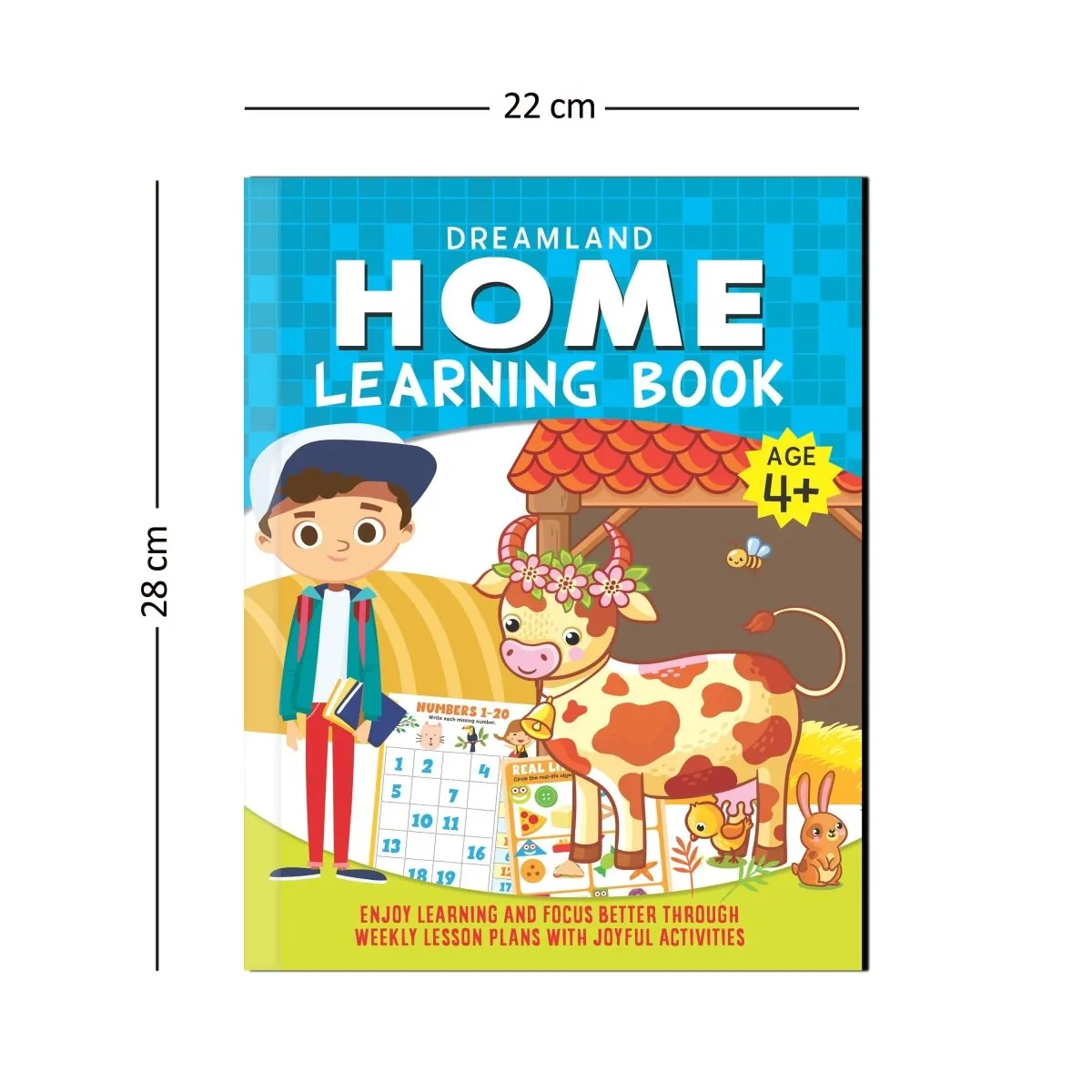 Dreamland Publications Home Learning Book With Joyful Activities - 4 