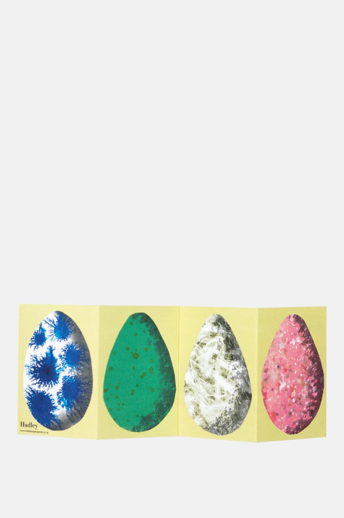 Egg Concertina Card