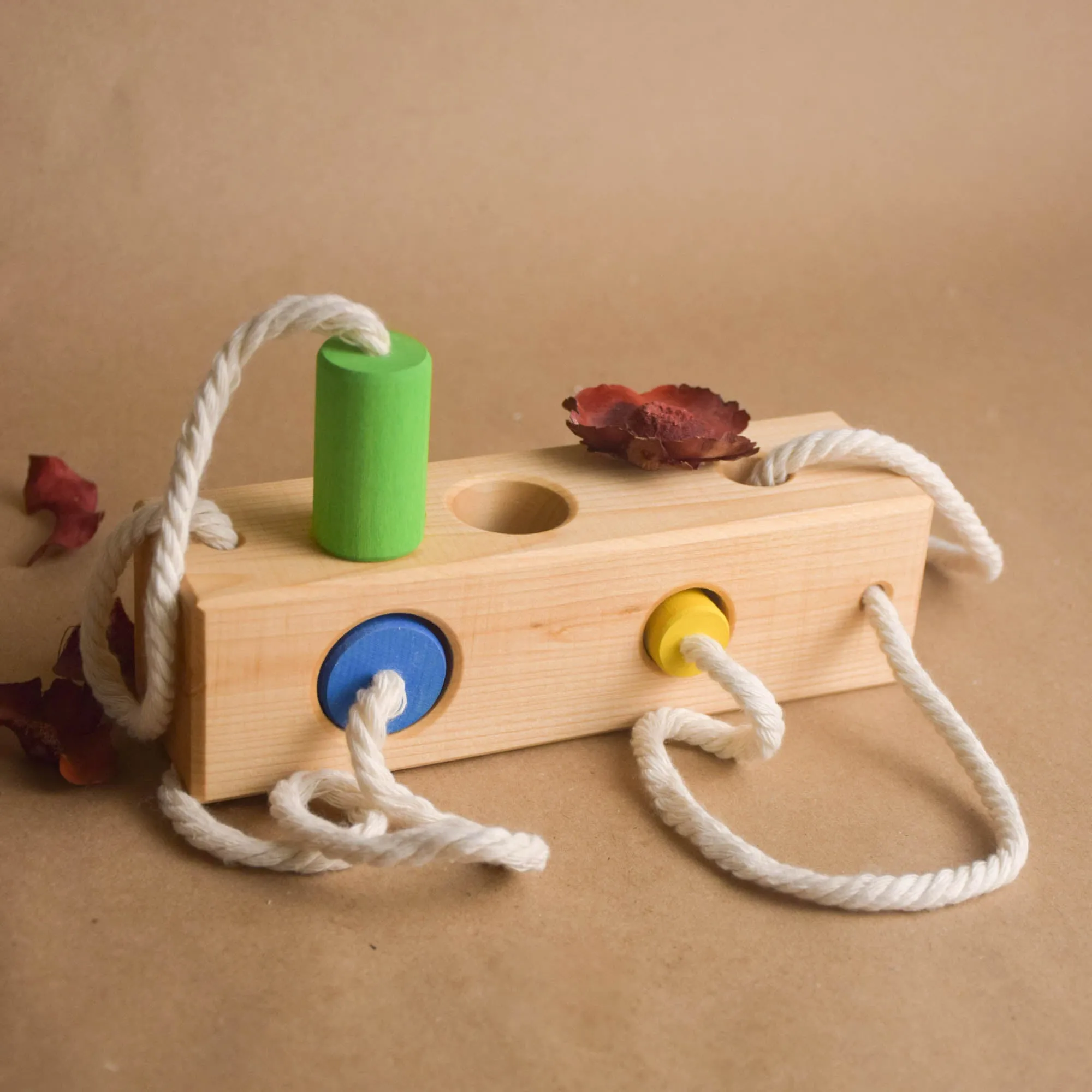 Montessori Color Sorting Activities for Preschoolers Wood Block with ...