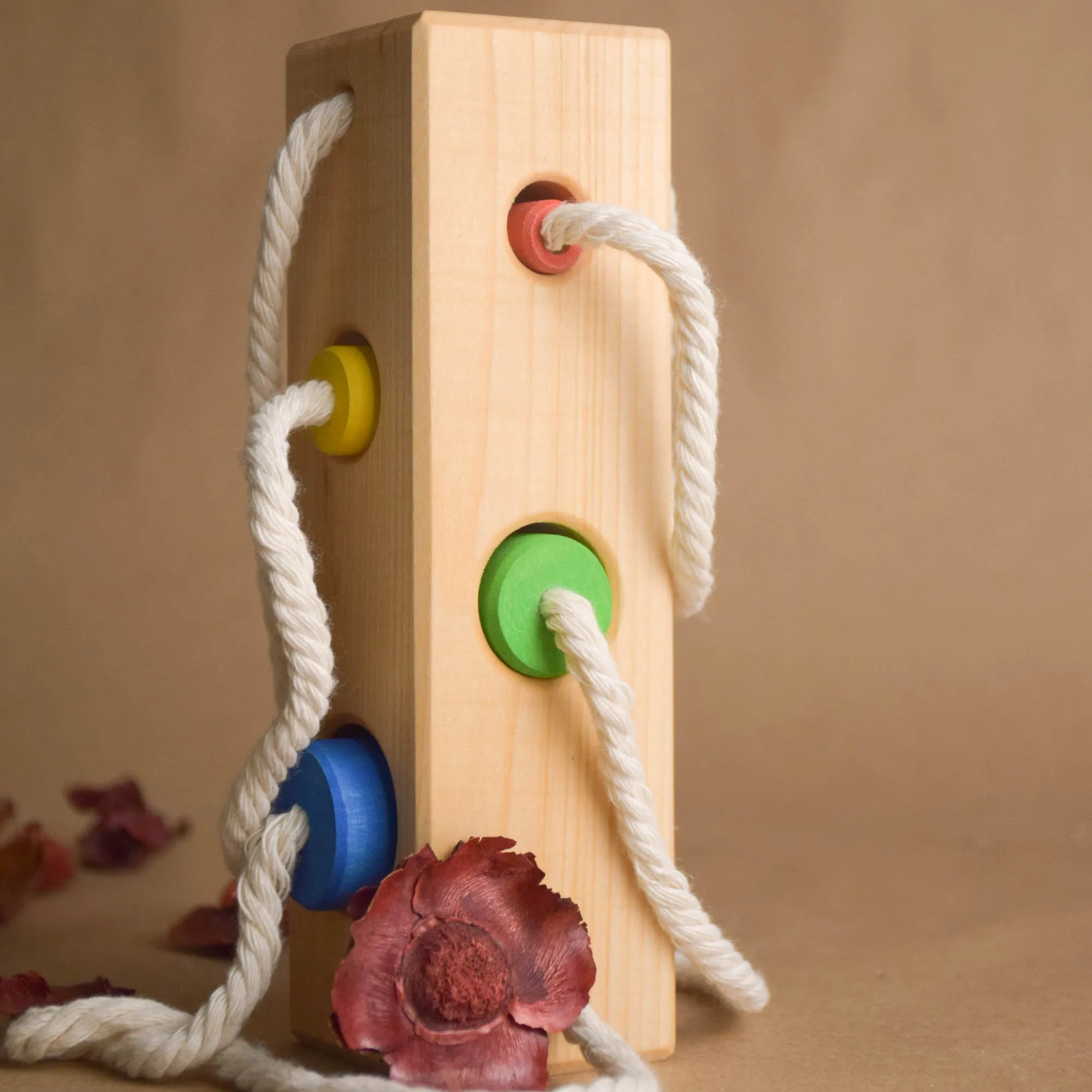 Montessori Color Sorting Activities for Preschoolers Wood Block with ...