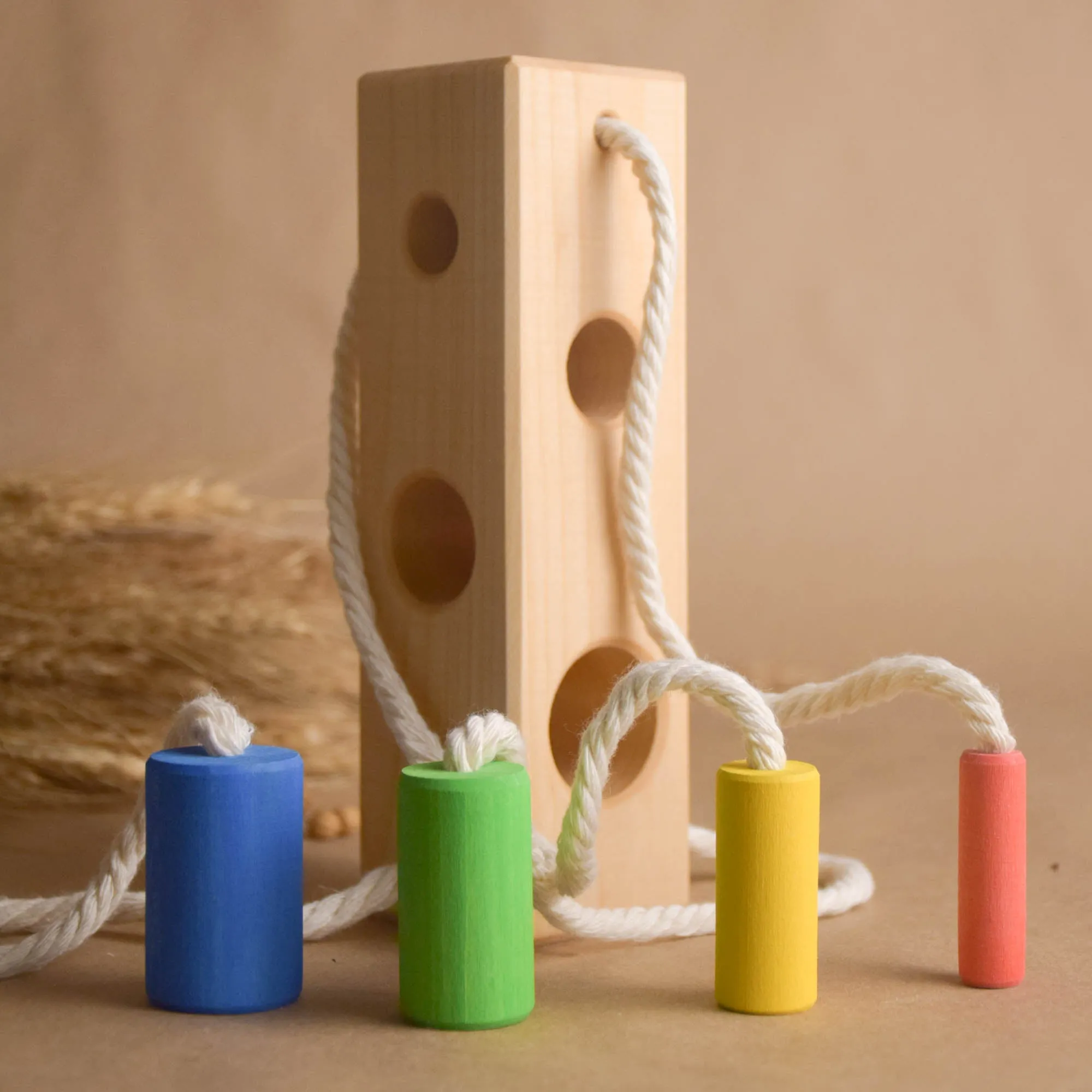 Montessori Color Sorting Activities for Preschoolers Wood Block with ...