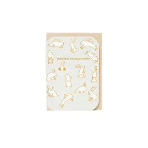Multiplying Baby Rabbits Card