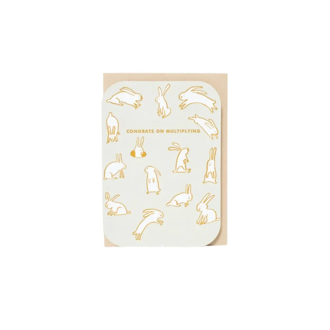 Multiplying Baby Rabbits Card