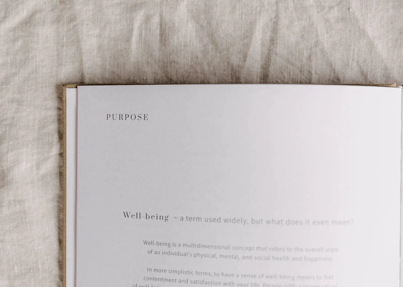 Olive   Page YOU Journal - Sand
