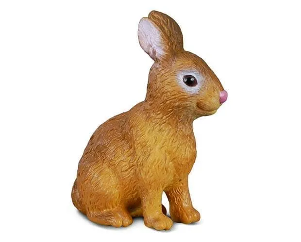 Rabbit